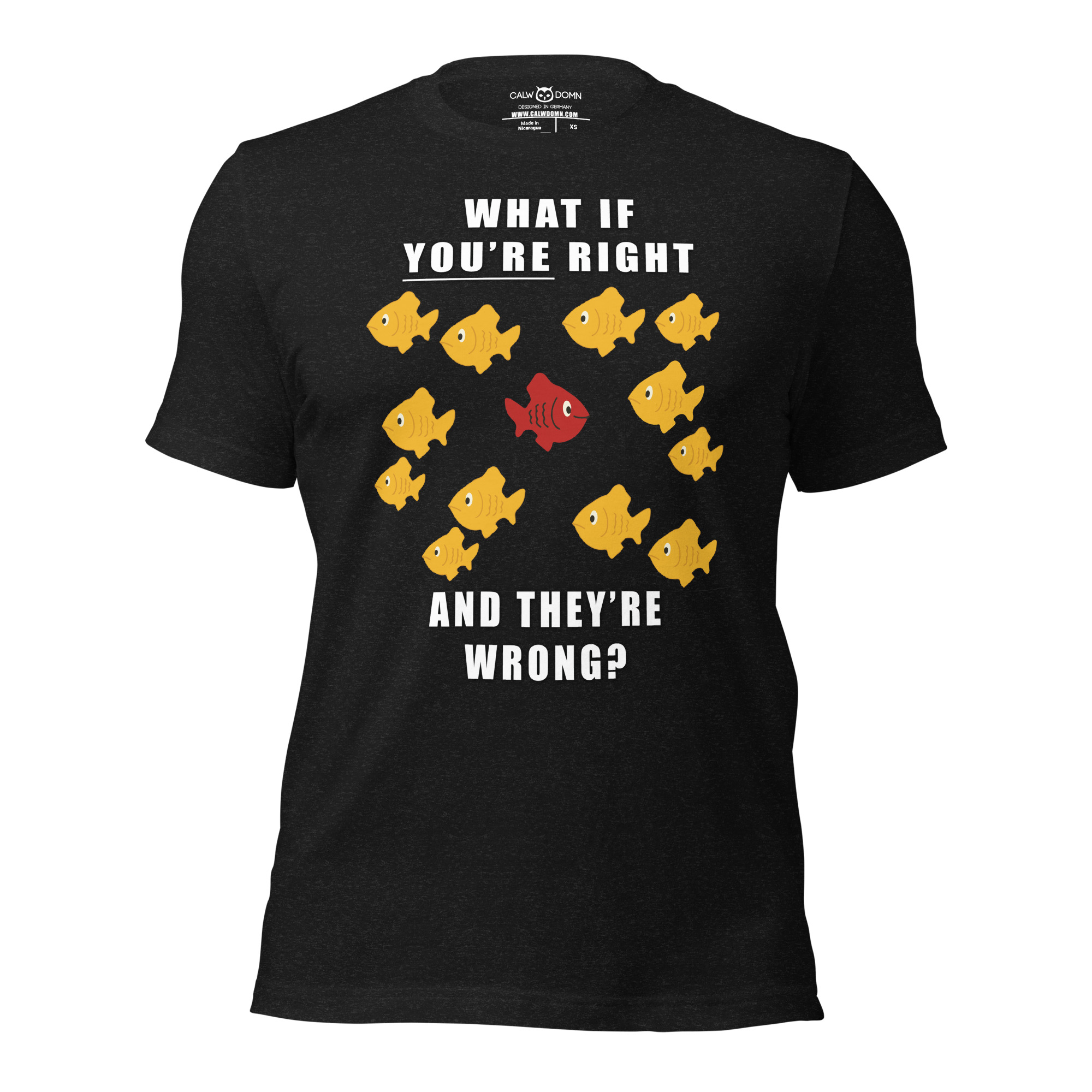What if you’re right and they’re wrong? T-Shirt