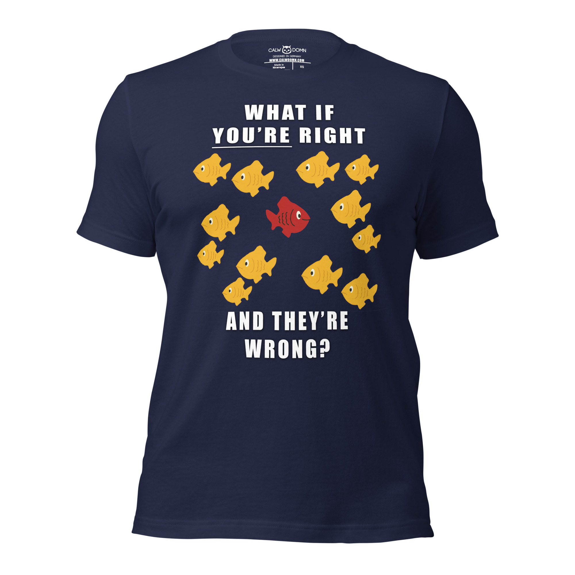 What if you’re right and they’re wrong? T-Shirt