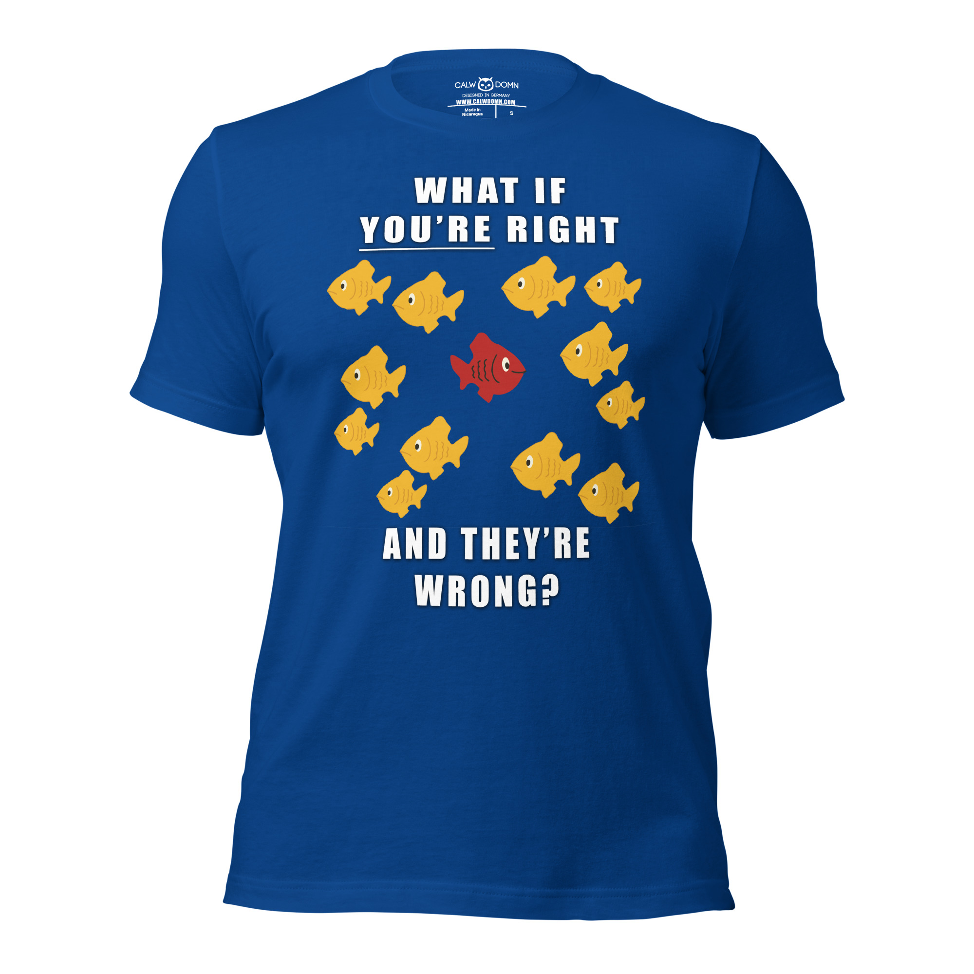What if you’re right and they’re wrong? T-Shirt