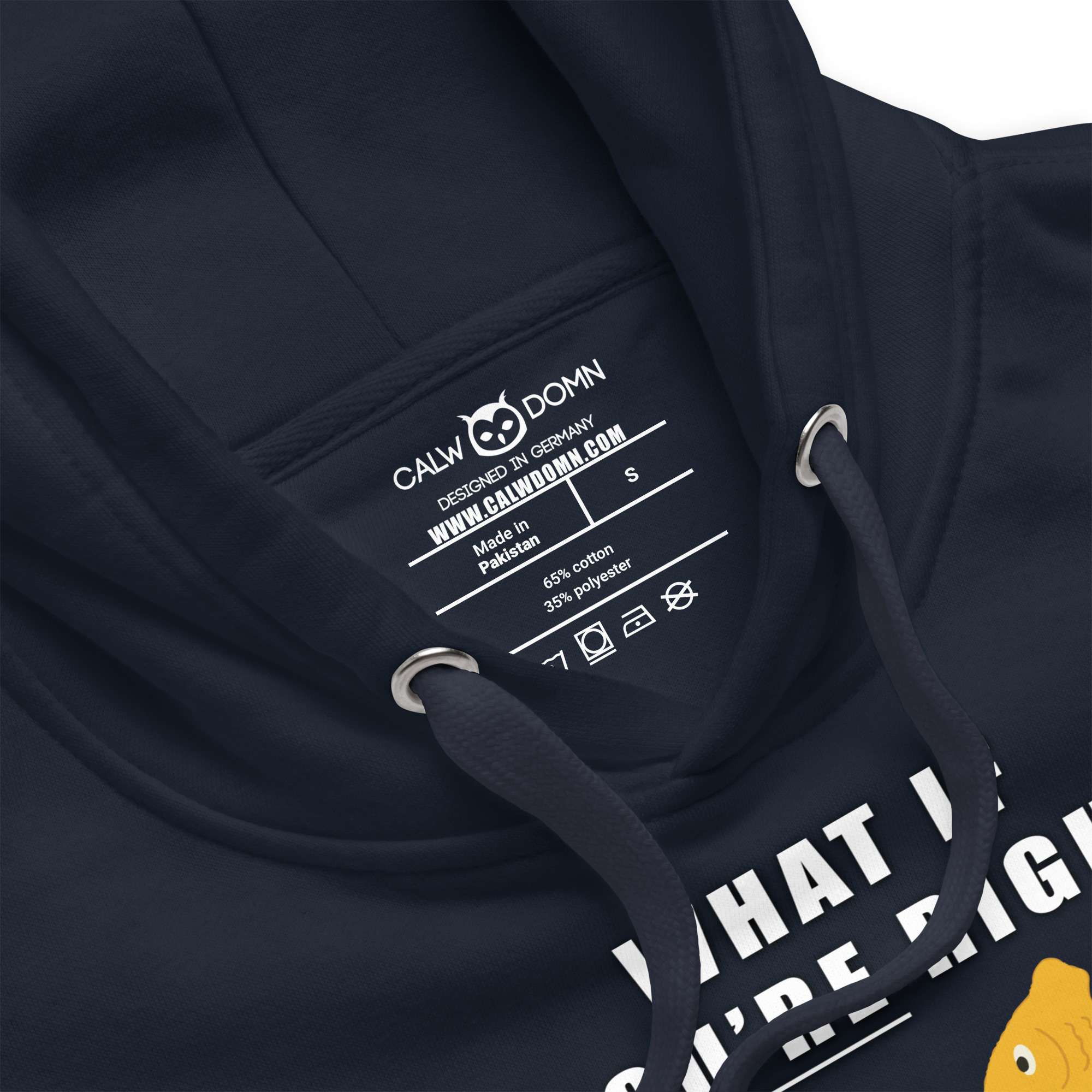 What if you’re right and they’re wrong? Hoodie - Image 2