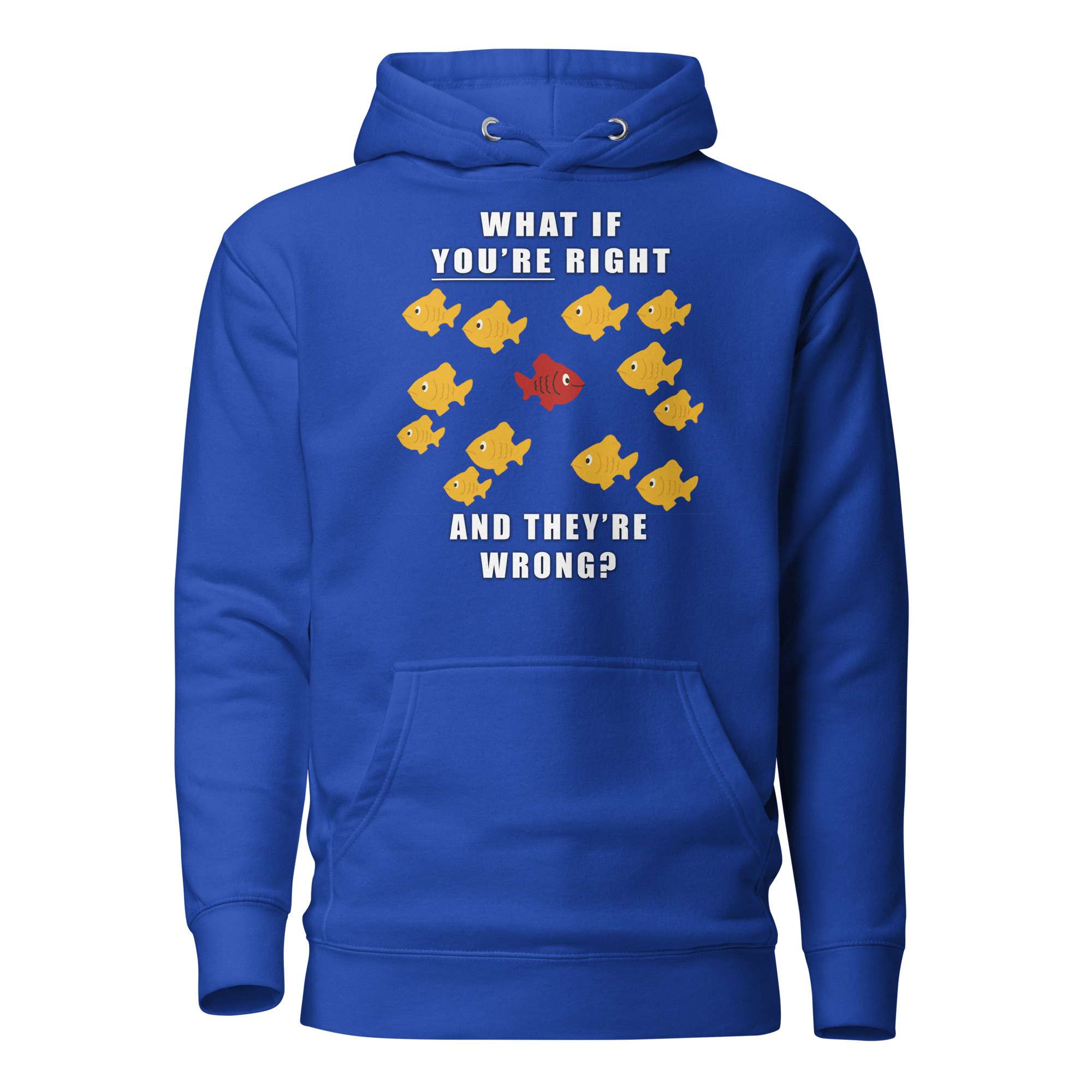 What if you’re right and they’re wrong? Hoodie